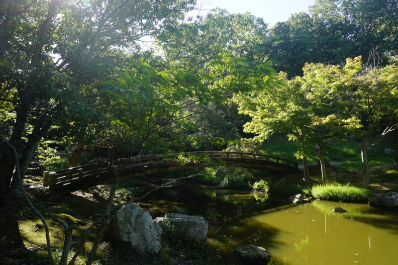 浜松城公園